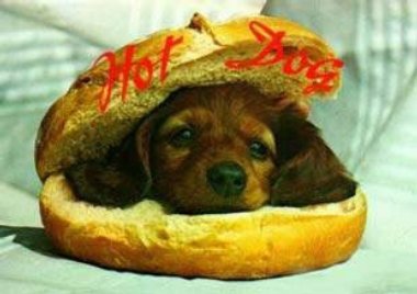 hot-dog.jpg